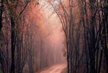 中國足協:各俱樂部7月18日前提交欠薪解決進度報告.