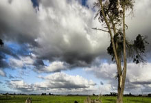 復出勇猛!德布勞內傷愈歸來,2球6助攻助力球隊勝利!.