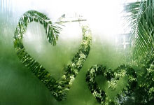 [女足]中国女足不敌墨西哥女足.