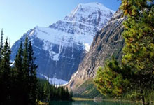 巴洛特利現在在按個球隊呢?他的職業生涯又如何?.