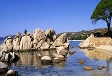 EAFC24五星花式球員：C羅姆巴佩內馬爾榮膺殊榮！多位女將也上榜！.